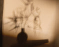 Load image into Gallery viewer, Retreat Chair by Maria Sharapova
